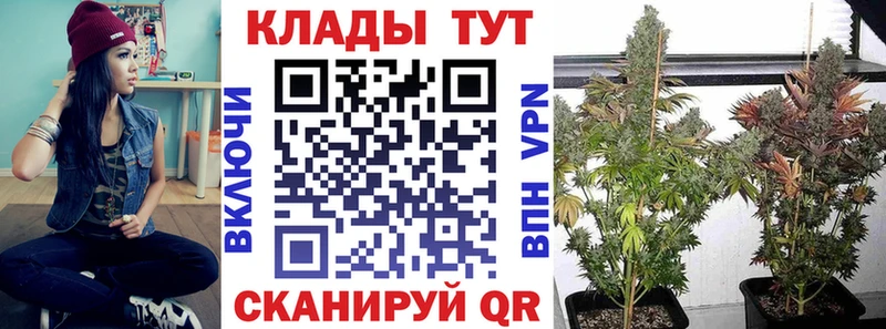 Наркотические вещества Чекалин Псилоцибиновые грибы  КОКАИН  APVP  Меф  МАРИХУАНА 