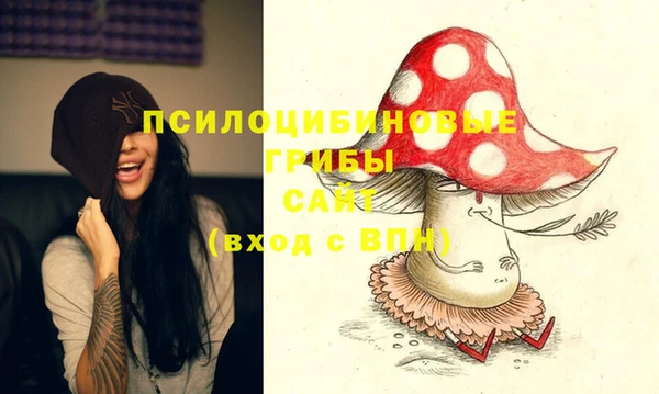 дмт Абинск
