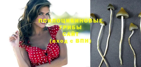 первитин Алексеевка