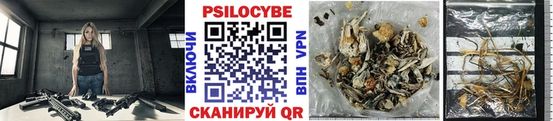 Псилоцибиновые грибы мицелий Чекалин